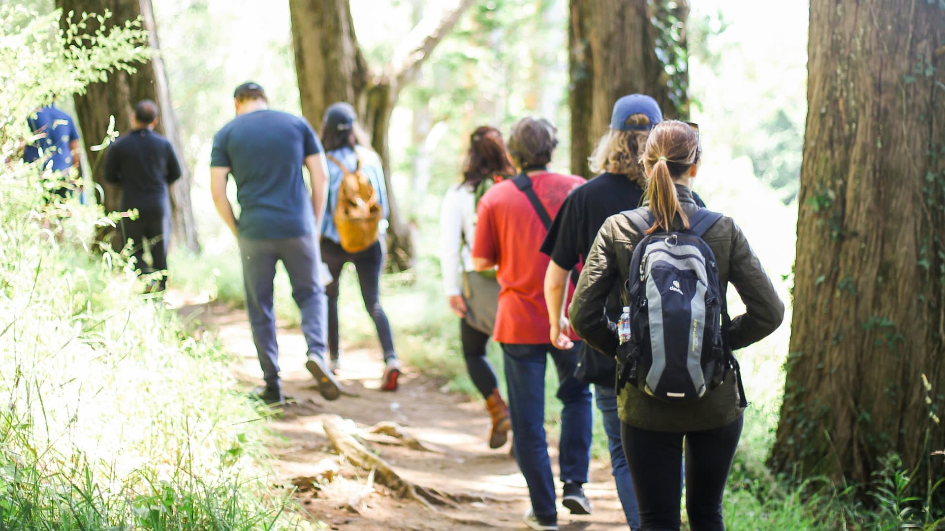 SparkMeet Walking Group